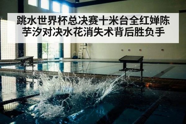 diving platform competition